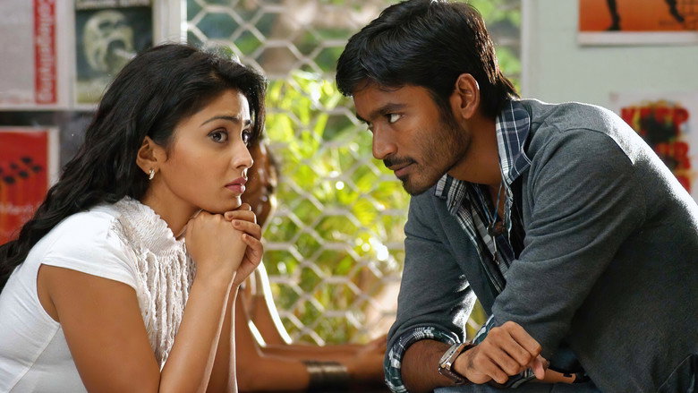 Gallery Stills