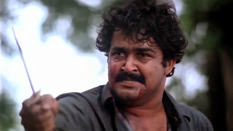 Gallery Stills